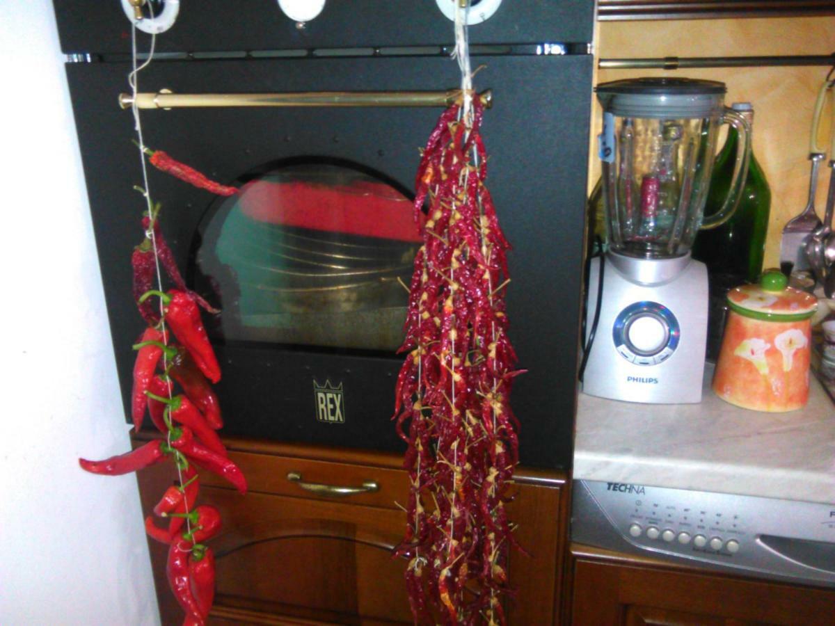 Bed and Breakfast L'Oasi Auletta Zewnętrze zdjęcie
